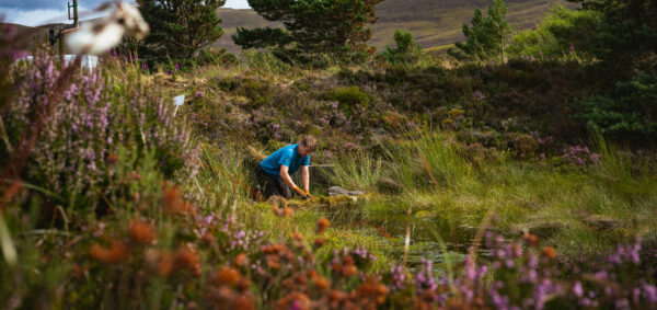 Ranger on Cairngorm Mountain